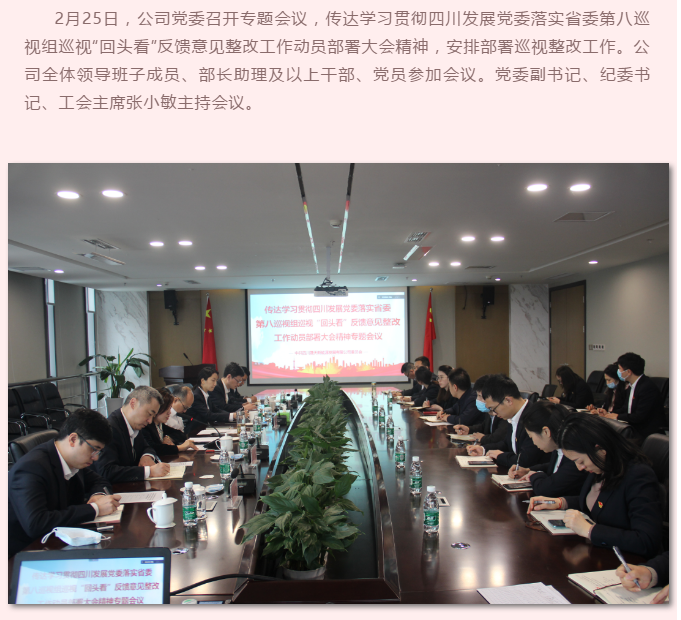 579507446841413